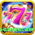 pak555 Mega Gaming App